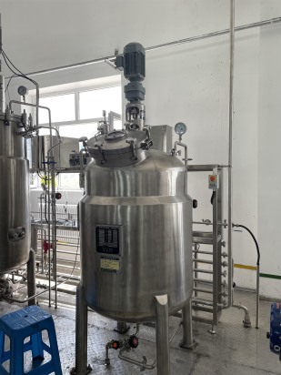 食品發酵液攪拌器